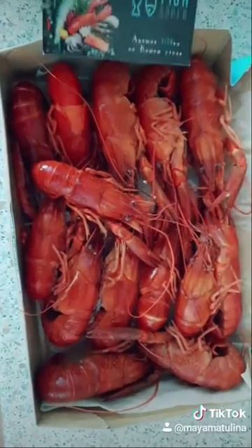 Раки и креветки в Ростов-на-Дону(1) смотреть онлайн