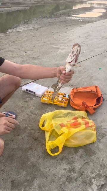 Щука моя любимая 🎣 Рыбалка Краснодар🇷🇺Россия 23 ав? смотреть онлайн