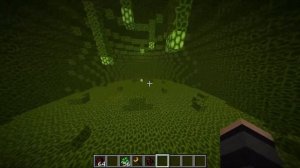 НОВЫЙ Divine RPG!!! ГАЙД ЗА 12 МИНУТ , ВСЕ БОССЫ , ВСЕ МИРЫ !  1.20.