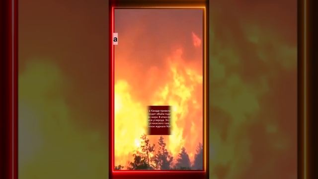 1 сентября 2024  Климат в мире смотреть онлайн