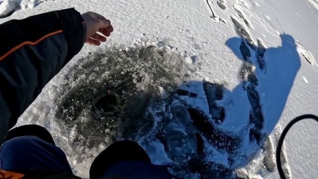 Трудова риболовля. Ловля окунця на мормишку. Риболовл?