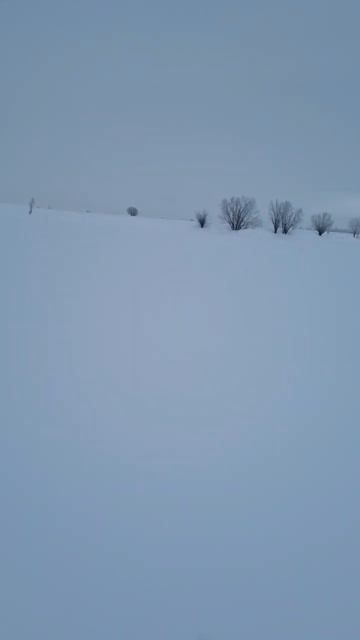 Рыбалка в поле смотреть онлайн