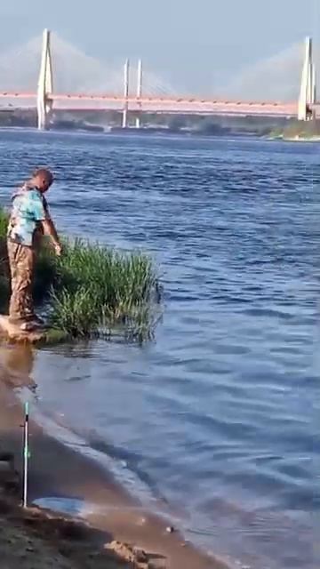 Рыбалка Муром- Ока 1 Сентября 2024… #fishing #shorts смотреть онлайн