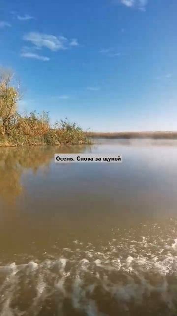 Октярбь 14 2024 #рыбалка #природа #fishing #шортс #carp #fish #расск смотреть онлайн