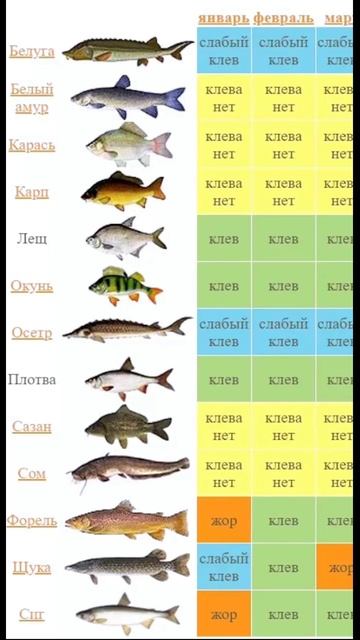 #рыбалка #рыбалканафидер #fishing #рыбалканаозере #боково? смотреть онлайн