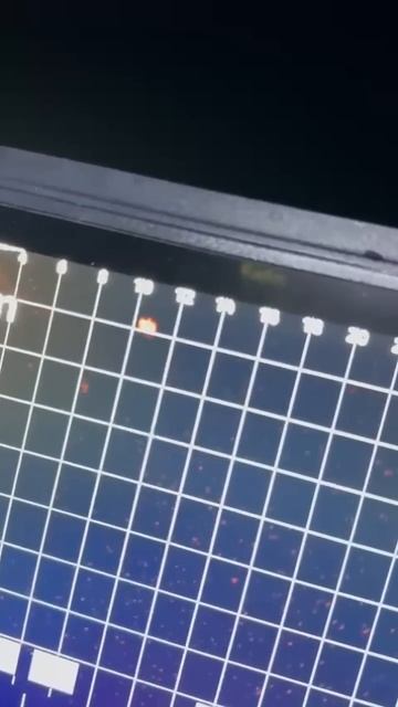 Трофейные судаки в Дагестане #fishing #сулак #дагестан #fish смотреть онлайн