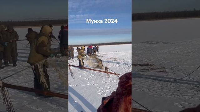Мунха 2024 сыл #2024 #рыбалка #мунха #подледнаярыбалка #озе? смотреть онлайн