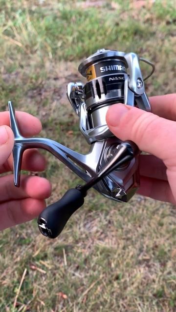 Моё осеннее дополнение Shimano Best Master рыбалка