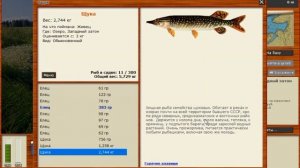 Щука из лужи / Озеро / Русская рыбалка 3