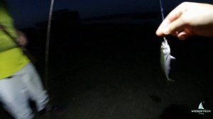 Морская рыбалка на ставриду. Ставрида на ультралайт.С?