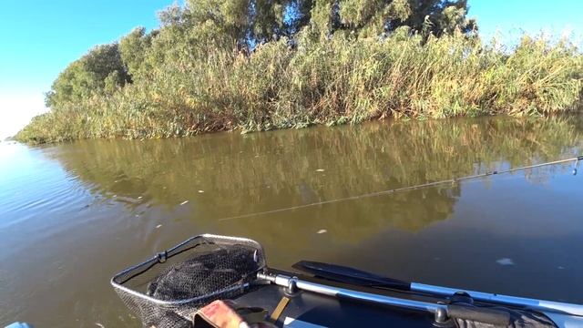 ОСЕННЯЯ РЫБАЛКА НА СУДАКА В АСТРАХАНИ. смотреть онлайн