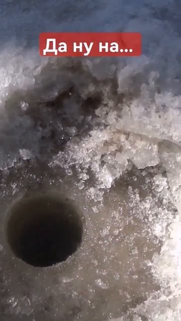 окунь на мормышку. смотреть онлайн