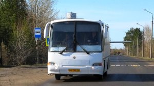 Автобус Алапаевска КАвЗ-4235-11 (1-1) № КК 740 66 маршрут 954 на остановке "ВСФК"