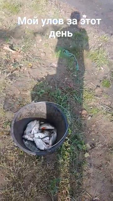 #Астрахань #рыбалка рыбалка на реке Подстёпка смотреть онлайн