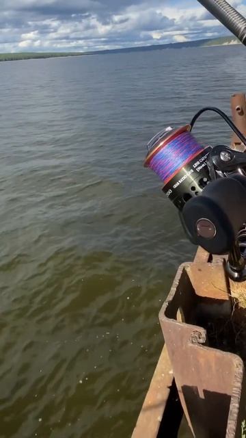 Кама, рыбалка, спиннинг, Пермь плетёнка , цвет смотреть онлайн