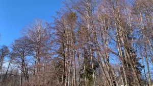 Зимняя рыбалка, Колпино Десногорское водохранилище  23