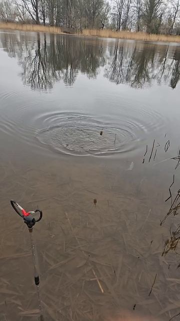 31 января 2025 г. смотреть онлайн