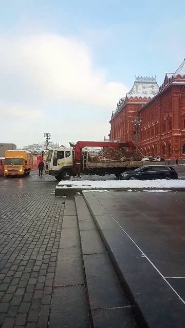 Березы увозят, ёлки привозят #shorts_video #мск #манежная смотреть онлайн