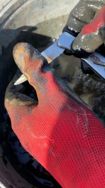 Магнитная рыбалка Владивосток! #shorts #владивосток #магн смотреть онлайн