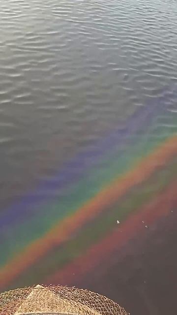 Рыбалка с лодки-поклёвка на бортовушку #поплавок  #сел? смотреть онлайн