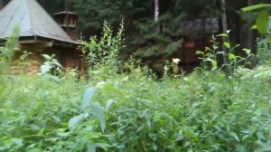 Святой источник в Подмосковье