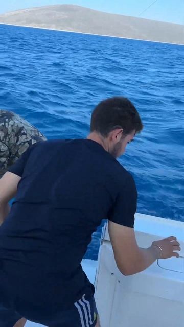 Морская рыбалка в Турции #морскаярыбалка #море #эгейск смотреть онлайн