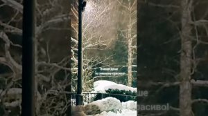 Песня: А за окном метет февраль!