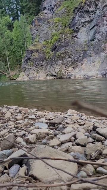 Искупалсялюблю  рыбалкутоп  И поклевку видел и рыбка