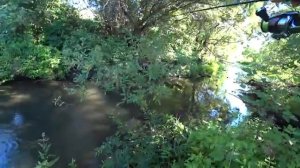 Вот это они дикие в этом РУЧЬЕ!! Рыбалка на спиннинг.