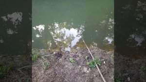 Рыбалка на паук