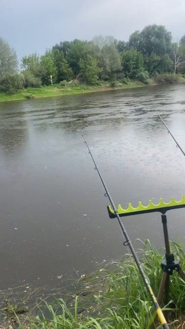 Начало рыбалки на Днепре #рыбалка #фидер #днепр смотреть онлайн