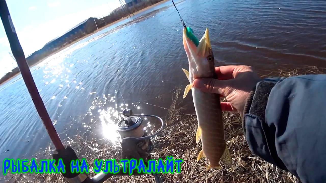 На ультралайт по сорам #рыбалка #ультралайт #щука
