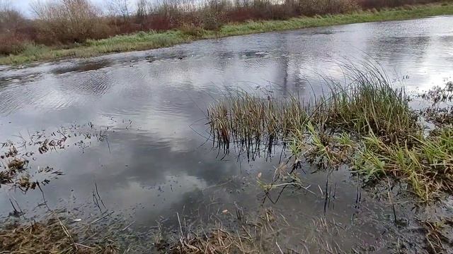 Рыбалка в начале НОЯБРЯ . Спиннинг в сильный ветер. Щук