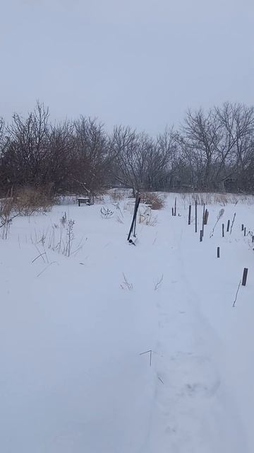 Буран поднялся 6-ого Марта 2025 года на даче, метёт и снег смотреть онлайн