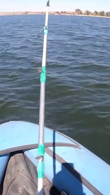 Сазаневич с лодки #shorts #рыбалка #сазан смотреть онлайн