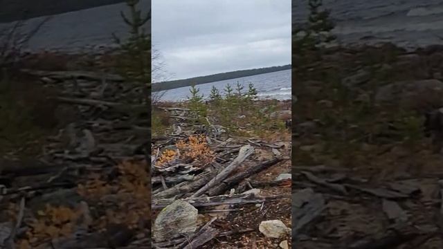 # это мурманск #отдых #рыбалка смотреть онлайн