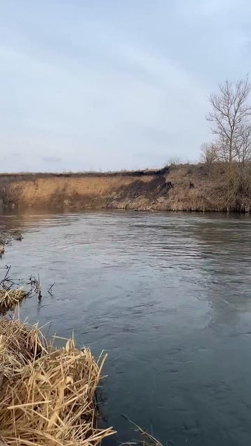 Красоты малой реки, ранняя весна 🐠🍂 #рыбалка #рыбалк? смотреть онлайн