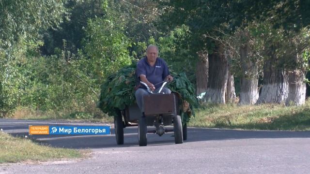 «Сельский порядок». Новосолдатка Красненского района смотреть онлайн