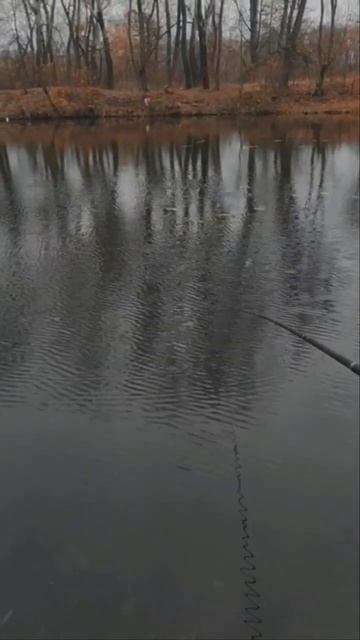 ЛОВЛЯ КРАСНОПЕРКИ НА ДЕДОВСКУЮ УДОЧКУ НА РЕКЕ ПСЁЛ !!! # смотреть онлайн