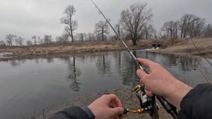 КАК ПОЙМАТЬ ВЕСЕННЕГО ОКУНЯ? ПАЛОЧКОЙ TEAM DUBNA BACKWATER TDB-682U