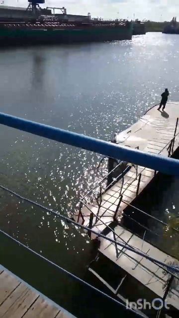 там есть сазан#рыбалка #fishing #дон #аксай#сазан смотреть онлайн