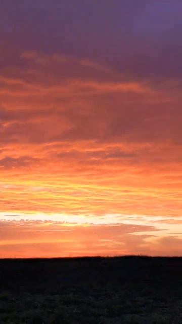 Багровый закат #красота #beauty #sky #shorts