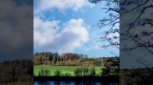 Польза и вред речной,вяленой рыбы. Как уберечься от па?