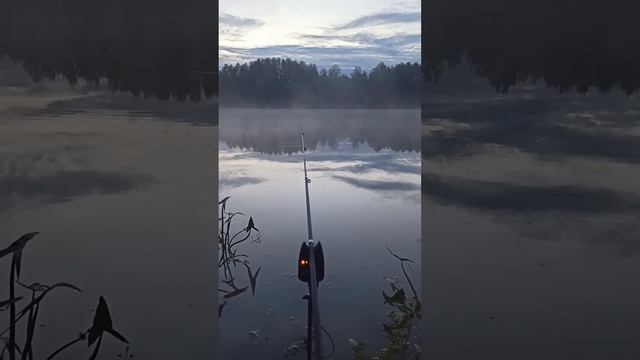 рыбалка #карась #озеро #донка #тюмень #carpfish #region172 #отдых смотреть онлайн