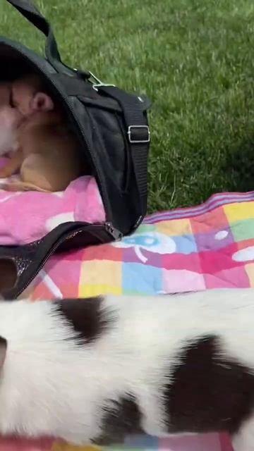 Нежный мальчик по имени Гранат,предлагается, есть дос? смотреть онлайн