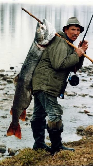 Смешной Анекдот про Рыбалку и Нерестовый Запрет смотреть онлайн