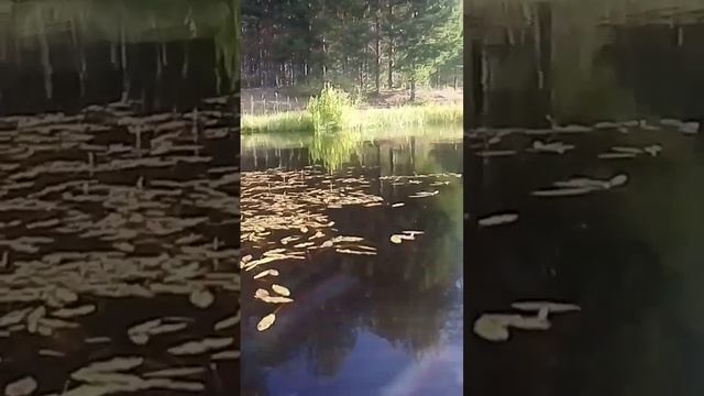 8 июля 2024 г. смотреть онлайн