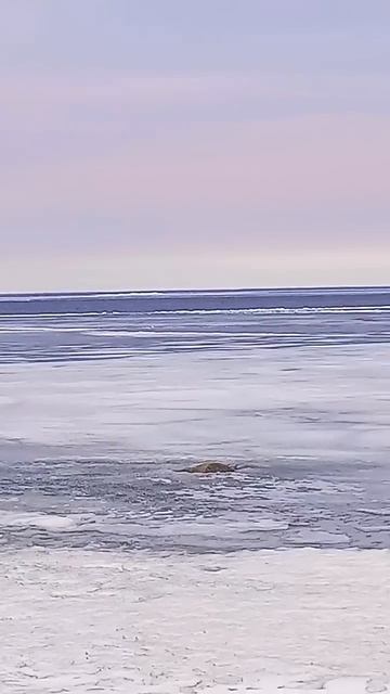 Наше Онежское озеро. Карелия. смотреть онлайн