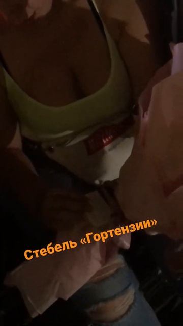 Стебель «Гортензии» букет, #ростов #подарок #улыбка #рн смотреть онлайн