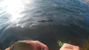 Рыбалка у пляжа Дюрсо под водой на зимнюю удочку в мас?